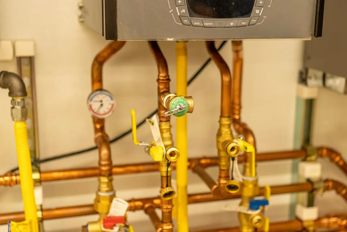 Licensed technician providing Emergency Plumbing for a homeowner in Albany